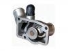 Termostato, refrigerante Thermostat:13 38 100