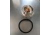 Thermostat d'eau Thermostat:6062030275