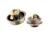 Termostato, refrigerante Thermostat:273 459