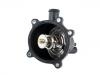 Termostato, refrigerante Thermostat:079 121 115 N