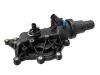 Termostato, refrigerante Thermostat:82 00 700 094
