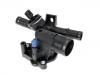 Termostato, refrigerante Thermostat:82 00 978 542